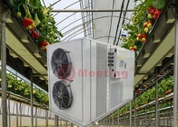 52KW Agriculture Air To Water Heat Pump Flower Greenhouse Heater Systems